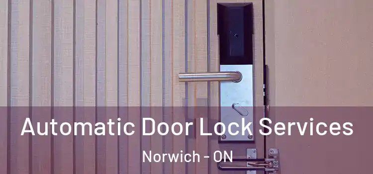 Automatic Door Lock Services Norwich - ON