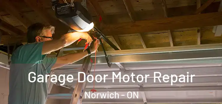  Garage Door Motor Repair Norwich - ON