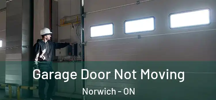  Garage Door Not Moving Norwich - ON