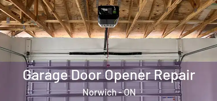  Garage Door Opener Repair Norwich - ON
