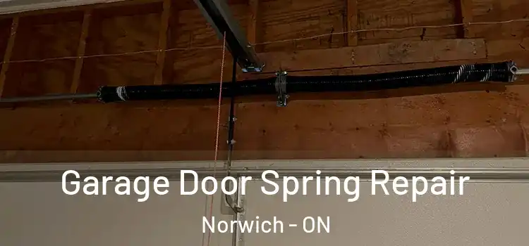  Garage Door Spring Repair Norwich - ON