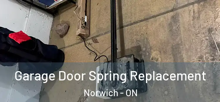  Garage Door Spring Replacement Norwich - ON