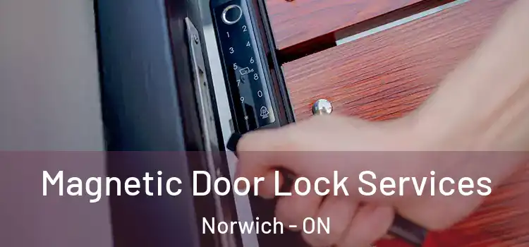 Magnetic Door Lock Services Norwich - ON