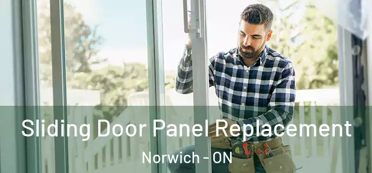  Sliding Door Panel Replacement Norwich - ON
