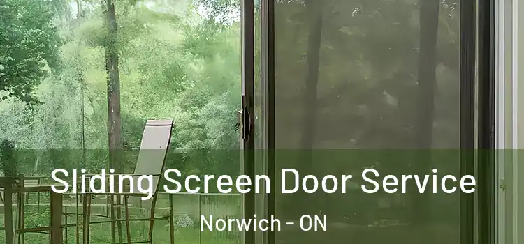  Sliding Screen Door Service Norwich - ON